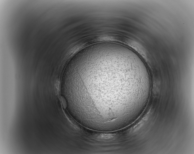 X0000095890849200801181224