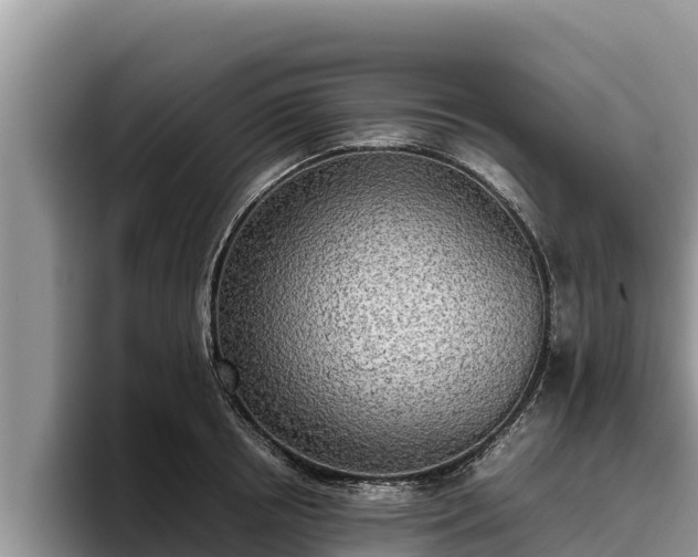 X0000095890850200801181224