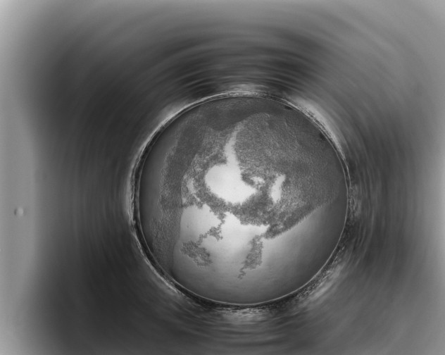 X0000095890851200801181224