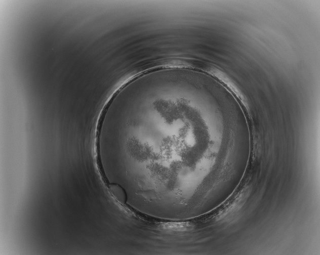 X0000095890853200801181224
