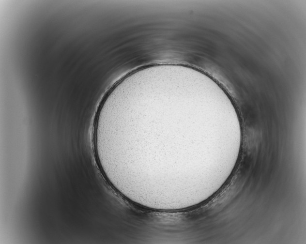 X0000095890856200801181224