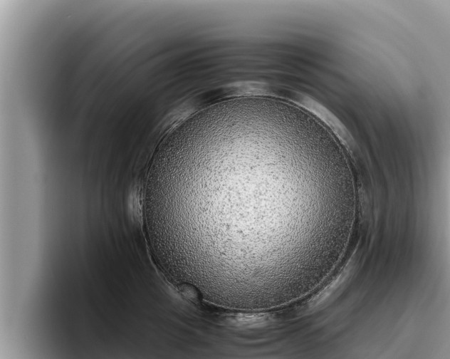 X0000095890857200801181224