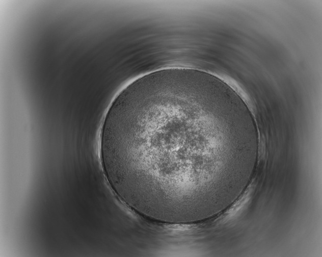 X0000095890862200801181224