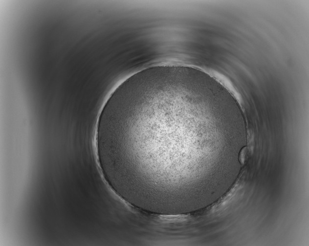 X0000095890863200801181224