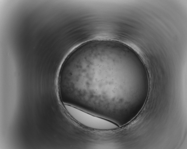 X0000095890864200801181224