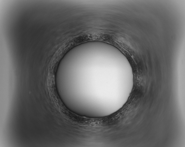 X0000095890865200801181224