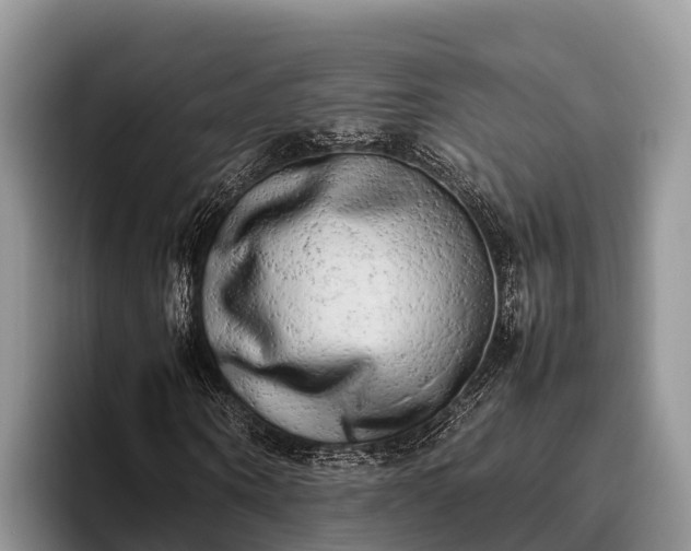 X0000095890866200801181224