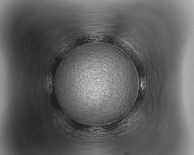 X0000095890867200801181224