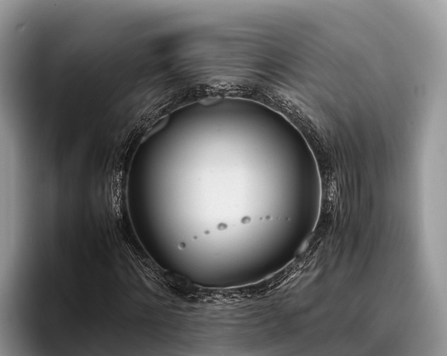 X0000095890868200801181224