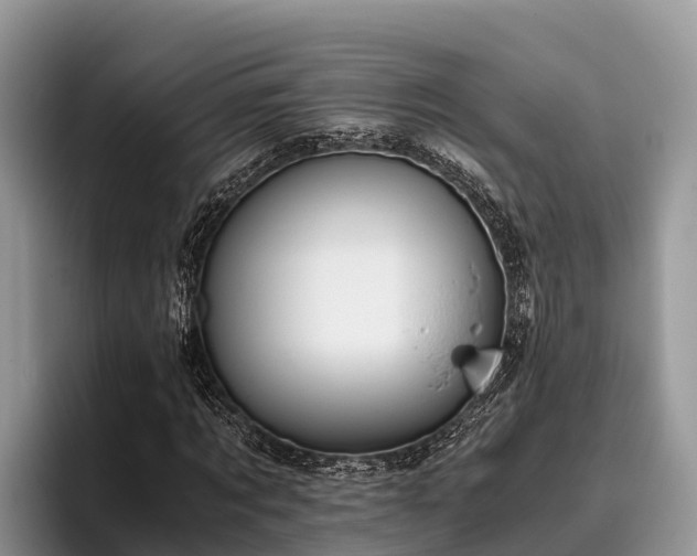 X0000095890869200801181224