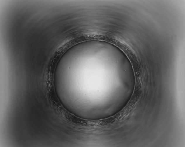 X0000095890870200801181223