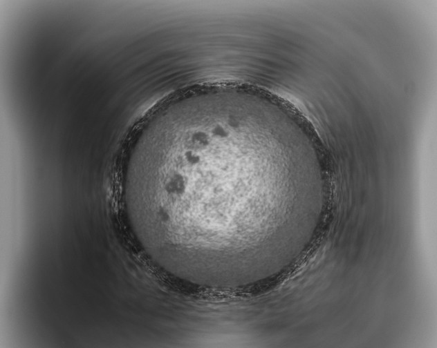 X0000095890871200801181223