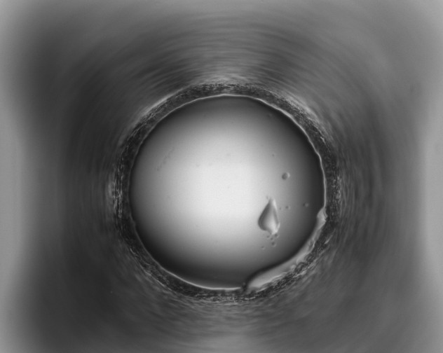 X0000095890872200801181223