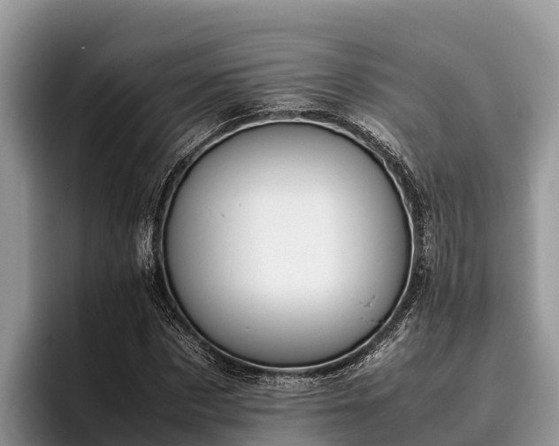 X0000095890873200801181223
