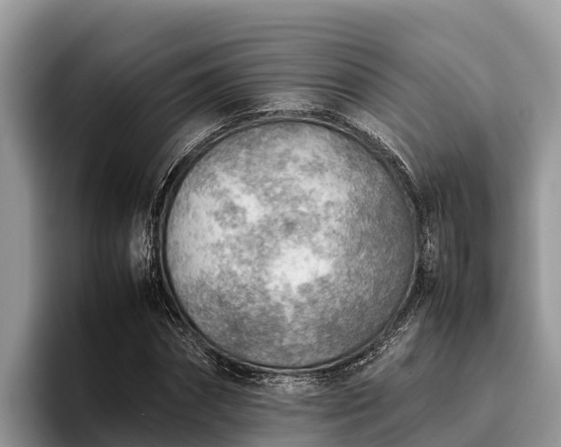 X0000095890874200801181223