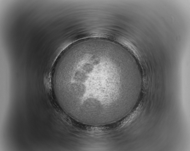 X0000095890875200801181223