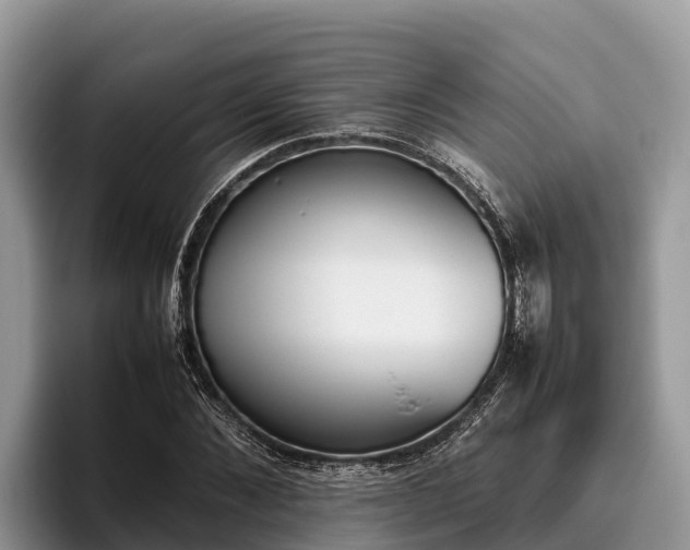 X0000095890876200801181223