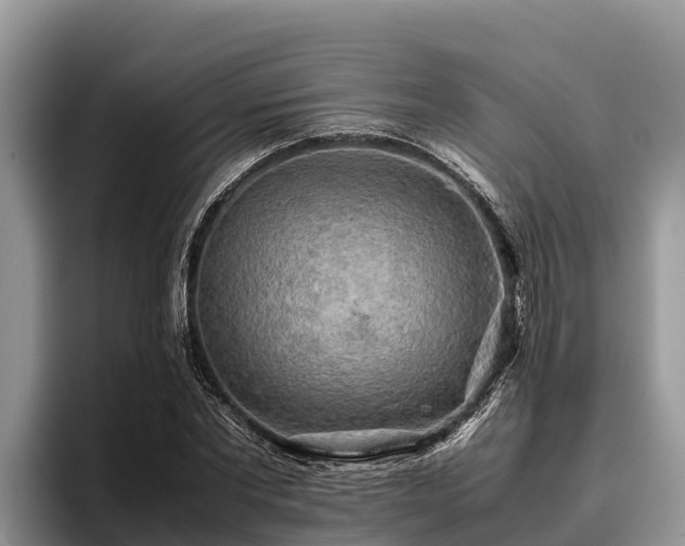 X0000095890877200801181223
