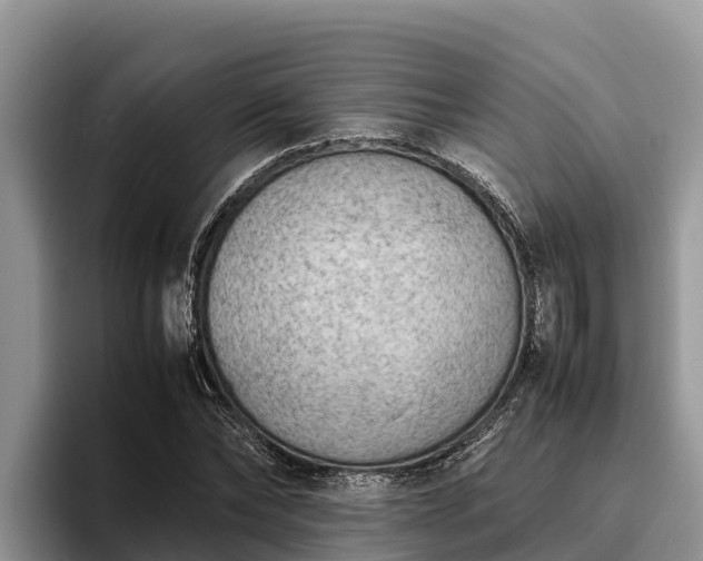 X0000095890878200801181223