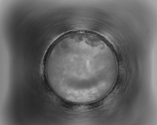 X0000095890879200801181223