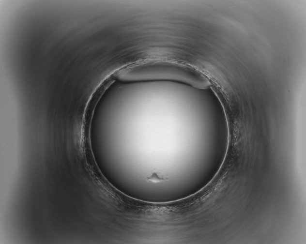 X0000095890880200801181223