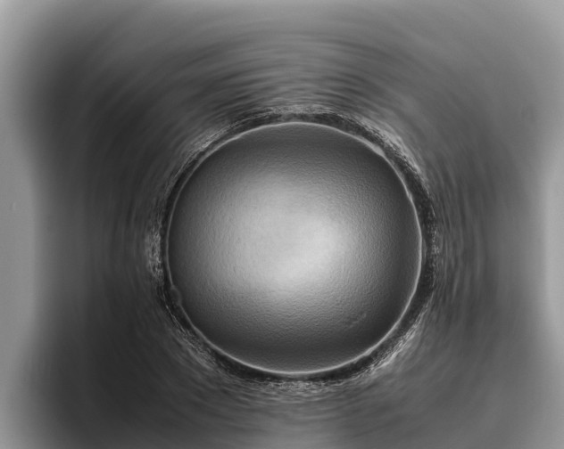 X0000095890881200801181223