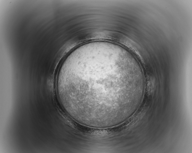 X0000095890882200801181223