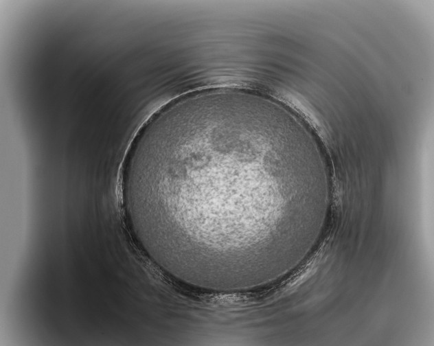 X0000095890883200801181223