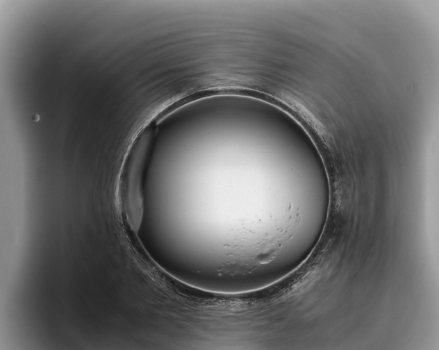 X0000095890885200801181223