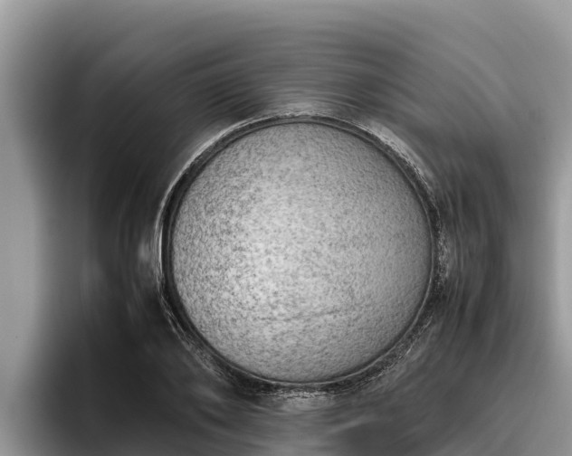X0000095890886200801181223