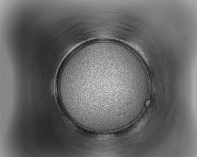 X0000095890887200801181223