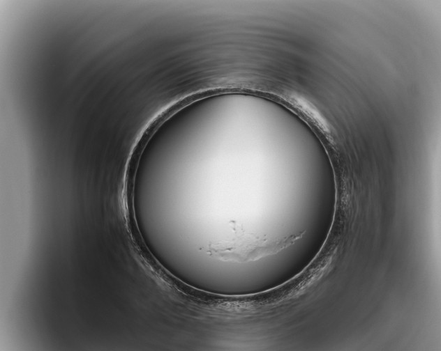 X0000095890888200801181223