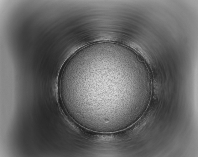 X0000095890890200801181223