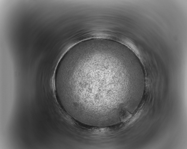 X0000095890891200801181223