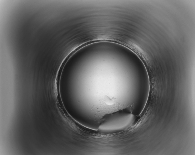 X0000095890892200801181223