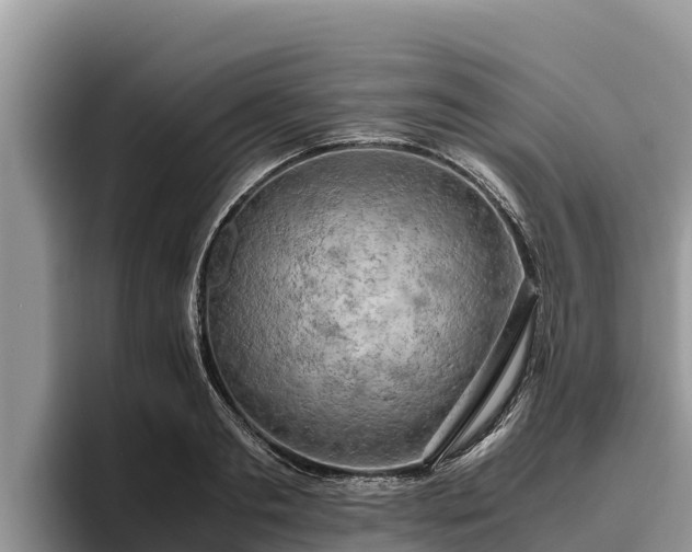 X0000095890893200801181223