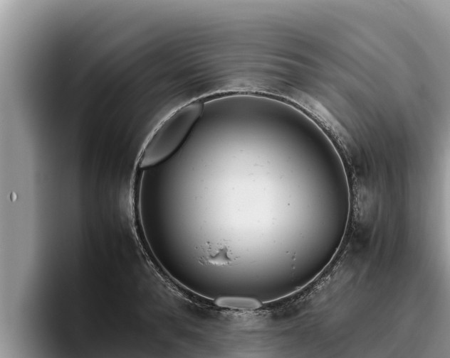 X0000095890896200801181223
