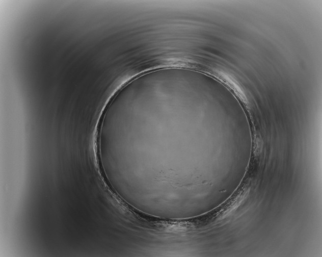 X0000095890899200801181223