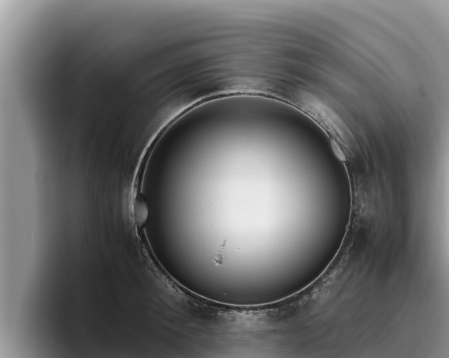 X0000095890900200801181223