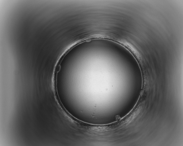 X0000095890902200801181223