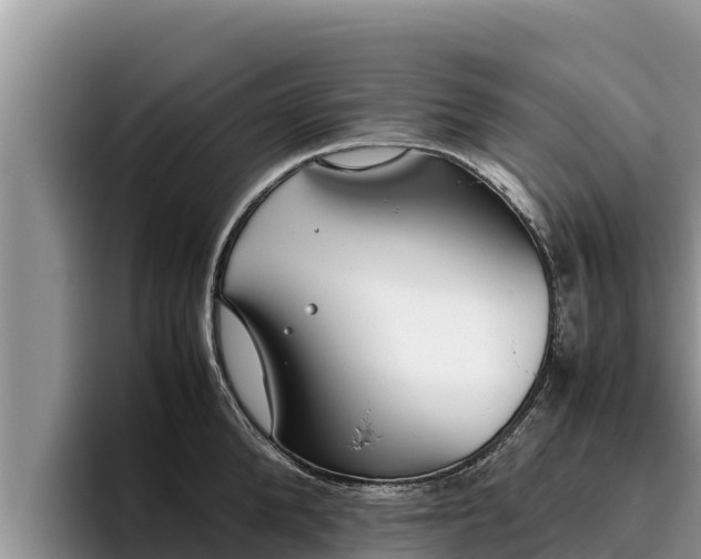 X0000095890904200801181223
