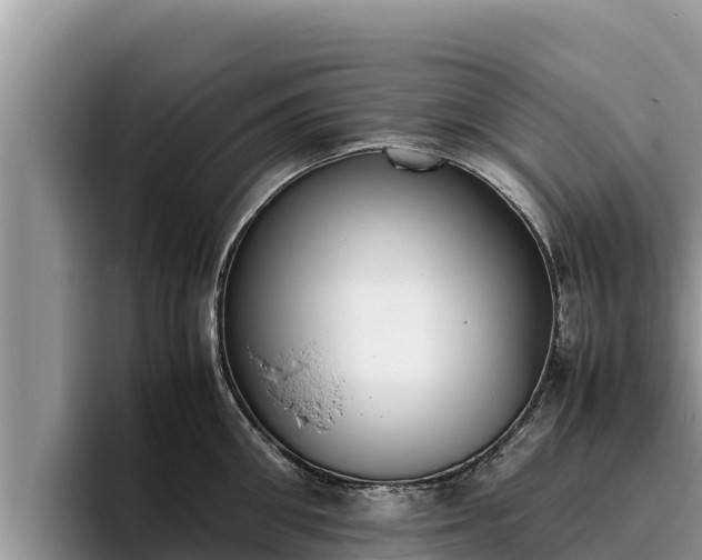 X0000095890906200801181223