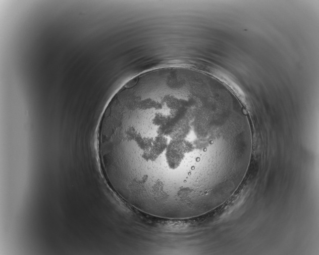 X0000095890907200801181223