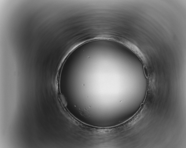 X0000095890908200801181223