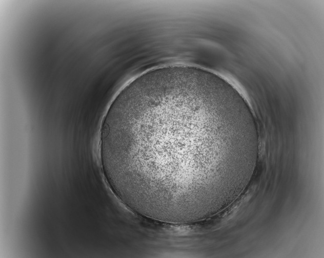 X0000095890911200801181223