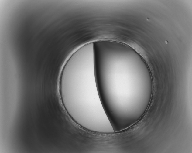 X0000095890912200801181223