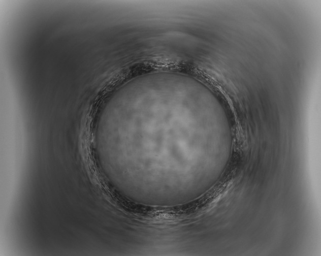 X0000095890913200801181222
