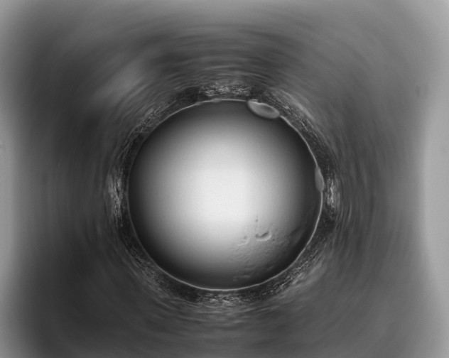 X0000095890915200801181222
