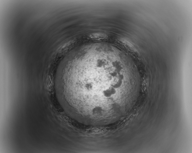 X0000095890917200801181222