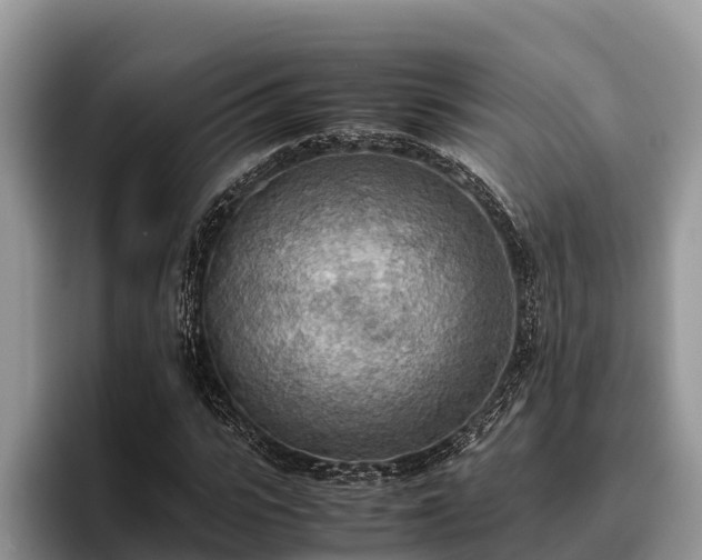 X0000095890919200801181222